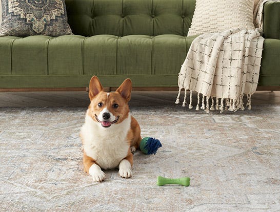 Astra Washables Area Rugs by Nourison Home
