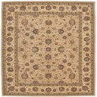 8' x 10' Area Rug