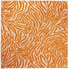 5' x 7' Area Rug