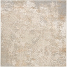 5' x 7' Area Rug