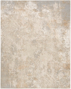 5' x 7' Area Rug