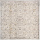 Antique Fusion ANF03 Light Grey Area Rug