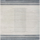 5' x 7' Area Rug