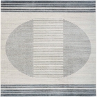 5' x 7' Area Rug
