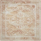 5' x 7' Area Rug