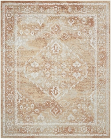 5' x 7' Area Rug