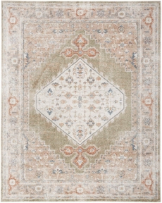 5' x 7' Area Rug