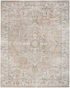 5' x 7' Area Rug