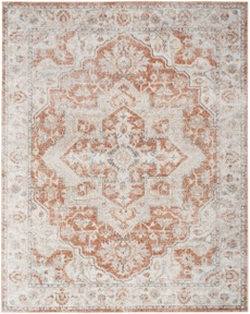 5' x 7' Area Rug