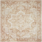 5' x 7' Area Rug