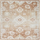 5' x 7' Area Rug