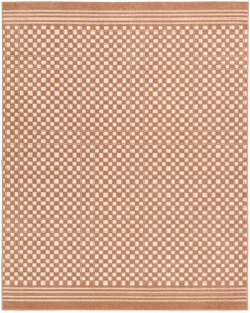 5' x 7' Area Rug