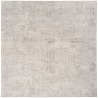 5' x 7' Area Rug