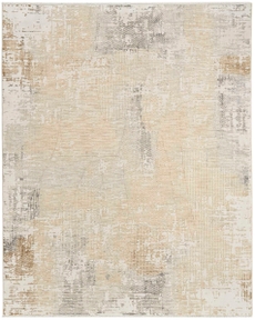 5' x 8' Area Rug