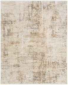 5' x 8' Area Rug