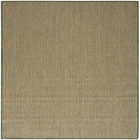 5' x 7' Area Rug
