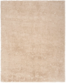 5' x 7' Area Rug