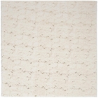 5' x 7' Area Rug