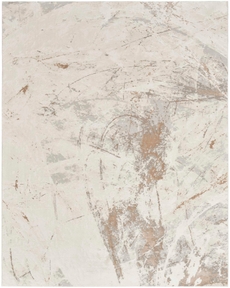 5' x 7' Area Rug