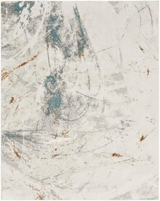 5' x 7' Area Rug