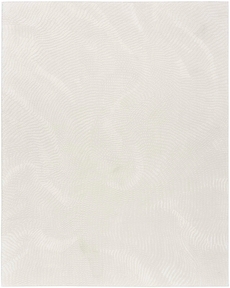 5' x 7' Area Rug