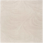 5' x 7' Area Rug
