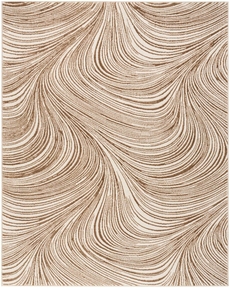 5' x 7' Area Rug