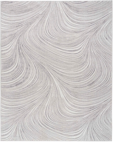 5' x 7' Area Rug