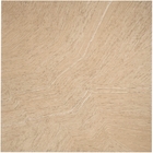 8' x 10' Area Rug