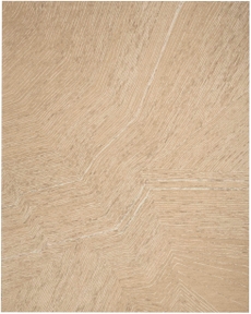 8' x 10' Area Rug