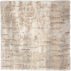5' x 7' Area Rug