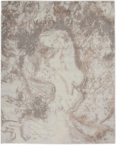 5' x 7' Area Rug