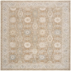 Envy EVV05 Mocha Area Rug
