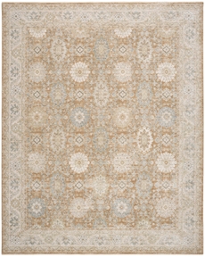 Envy EVV05 Mocha Area Rug