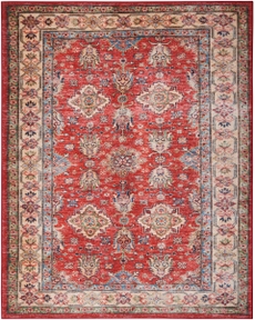 5' x 7' Area Rug