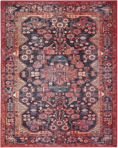 5' x 7' Area Rug