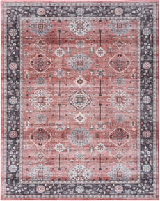 5' x 7' Area Rug