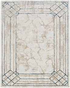 5' x 7' Area Rug

