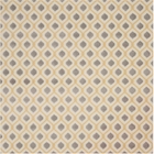 5' x 7' Area Rug