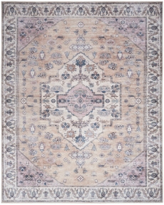5' x 7' Area Rug