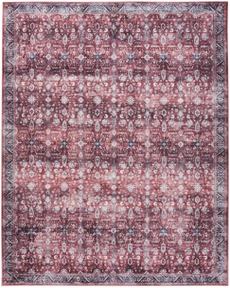 5' x 7' Area Rug