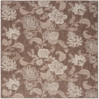 5' x 7' Area Rug