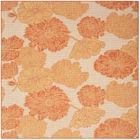 5' x 7' Area Rug