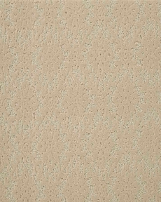 CLASSIQUE JARDIN JADN DUNE