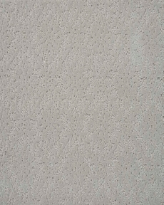 CLASSIQUE JARDIN JADN MIST
