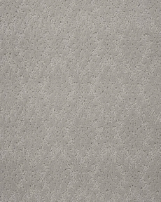 CLASSIQUE JARDIN JADN SILVERADO
