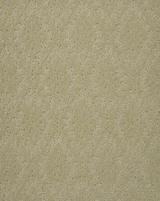 CLASSIQUE JARDIN JADN SPRING