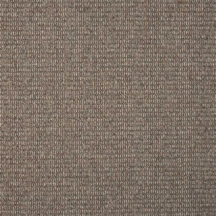 Elements Mesa Flint Stone Broadloom Carpet