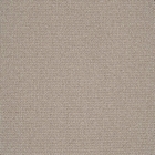 CANTERBURY CNTBY PARCHMENT