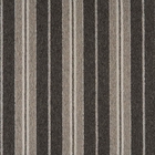 ELEMENTS COASTAL CSTL COAL/STONE